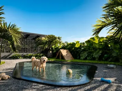 Duo Stay Residence - Pet Place